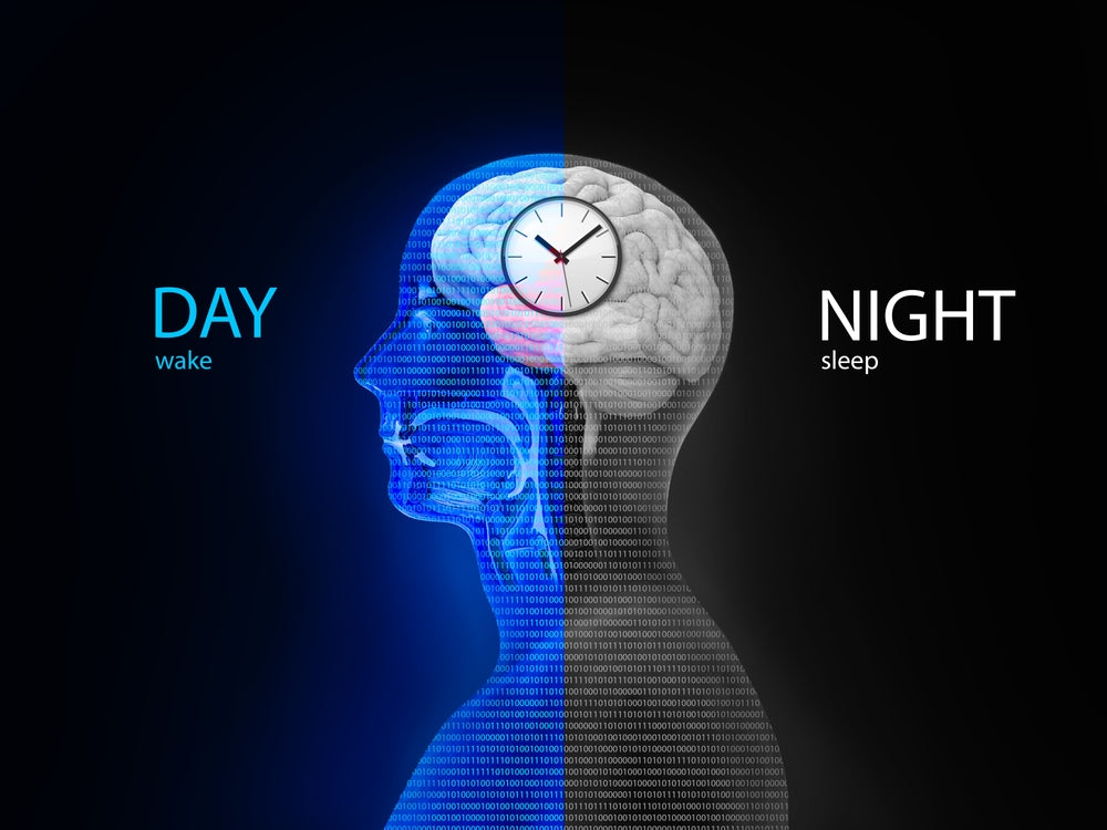 how to fix your circadian rhythm for better sleep