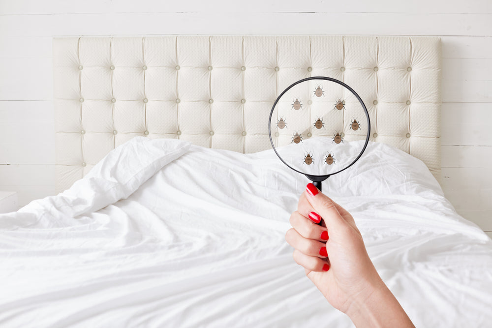 how to clean and maintain bed sheets
