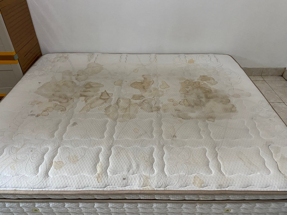 mold on a mattress