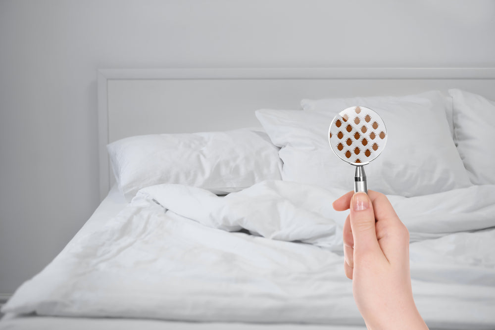 How to maintain good bed hygiene