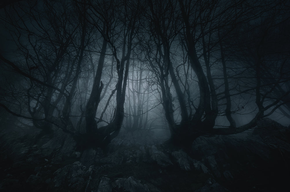 types of dreams and what they mean