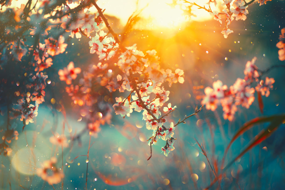 effect of spring on sleep
