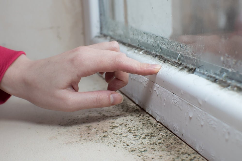 mold in the bedroom